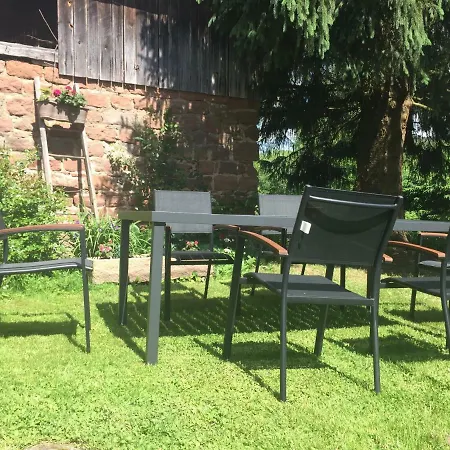 Appartement Meublés de Tourisme Heidelbeere à Dambach Extérieur photo